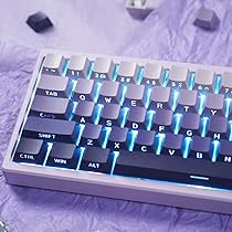 【組立済み入門機】54キー□左右分割型□メカニカルキーボード□パープルキャップ 組立済み入門機】左右分割型・54キーメカニカルキーボード